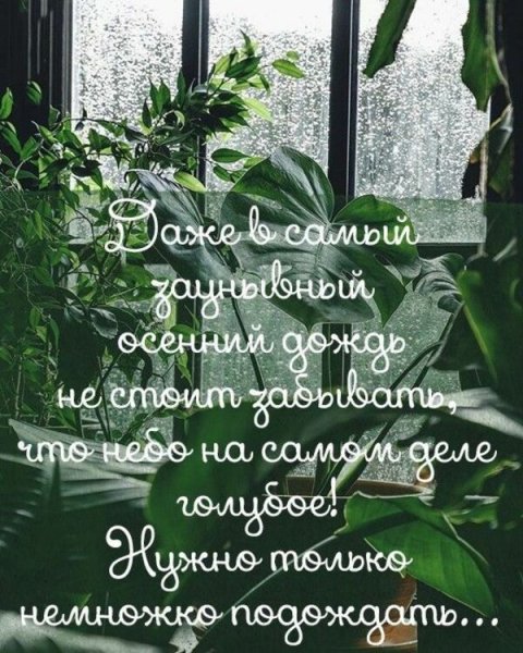 С добрым дождливый утпом