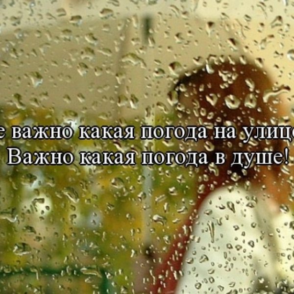 Дождливое утро