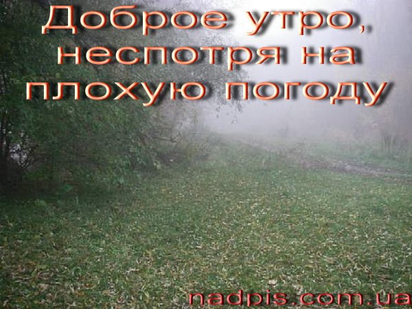 С добрым дождливым утром прикольные