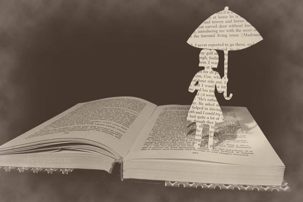 Книга под дождем