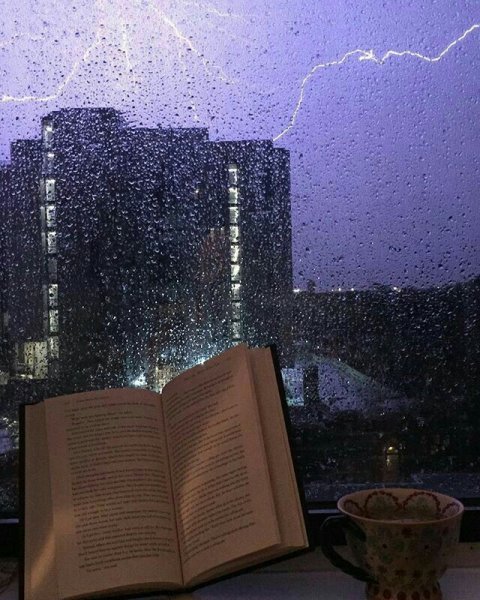 Книжная Эстетика дождь