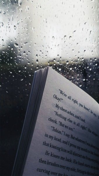 Книги дождь Эстетика