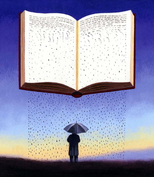 Дождь из книг