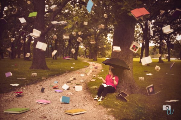 Книжный дождь любимых книг картинки