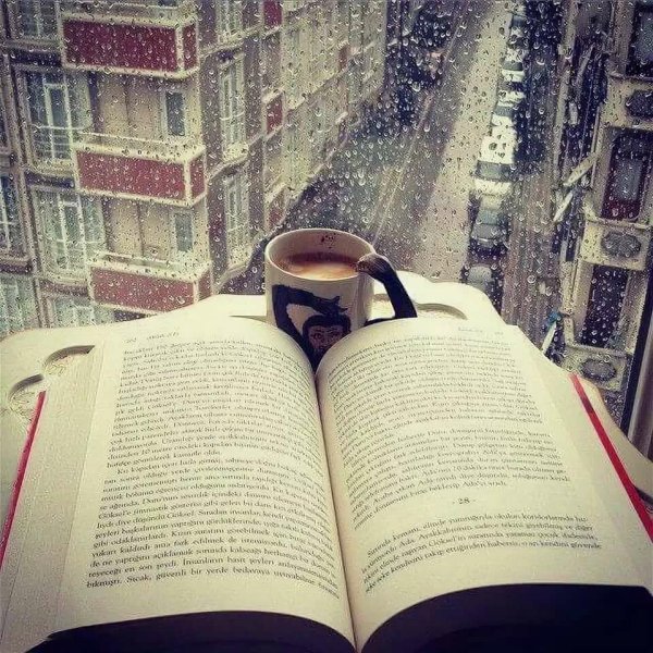 Книга аватарка