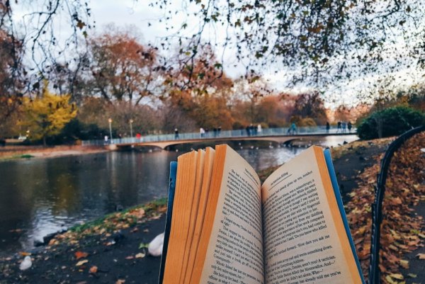 Книги осенью