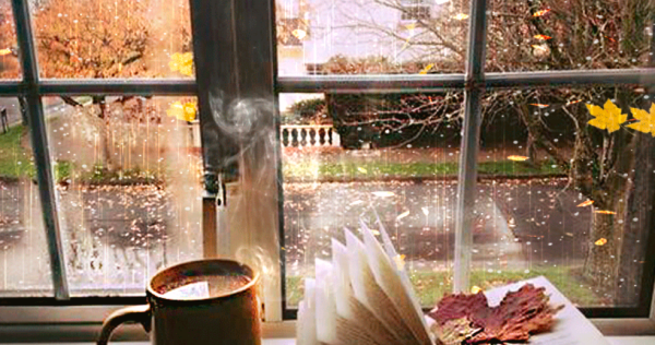 Дождь за окном уют