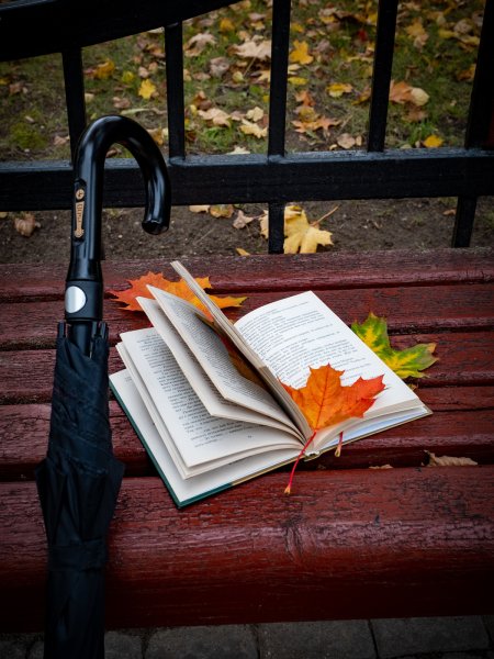 С книжкой на скамейке