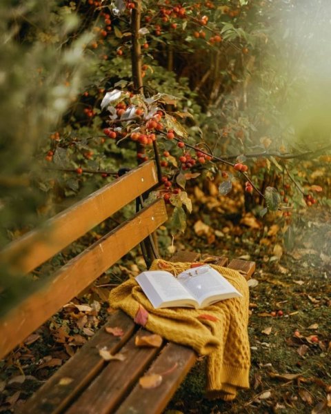 Осенний плед