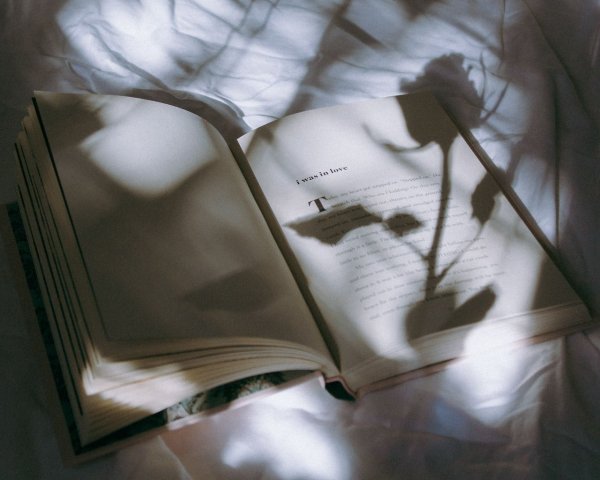 Книги Эстетика