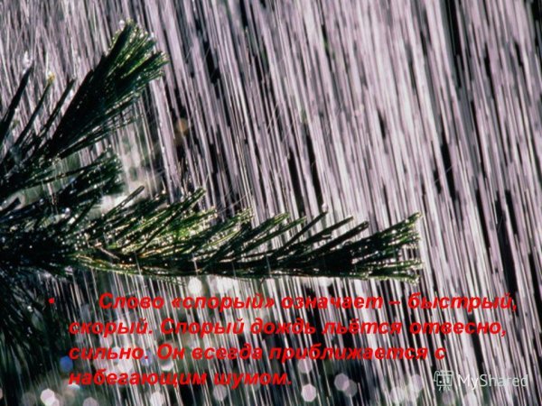 Природные явления дождь