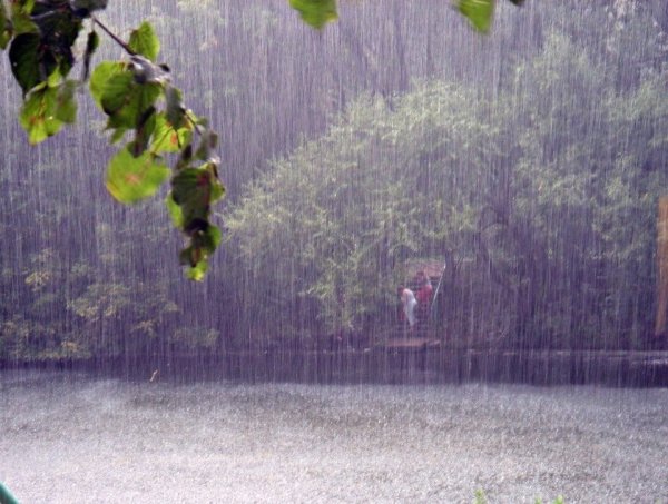 Ливень в природе