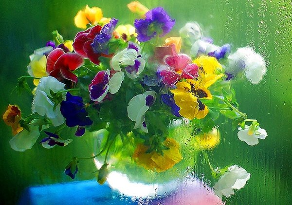 Натюрморт позитивный