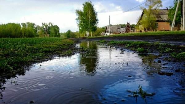Ливень в деревне
