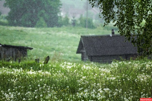 Июль в деревне