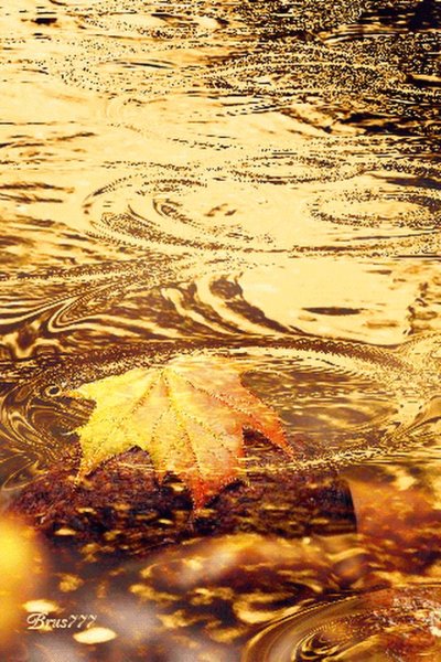 Мокрое стекло капельки воды