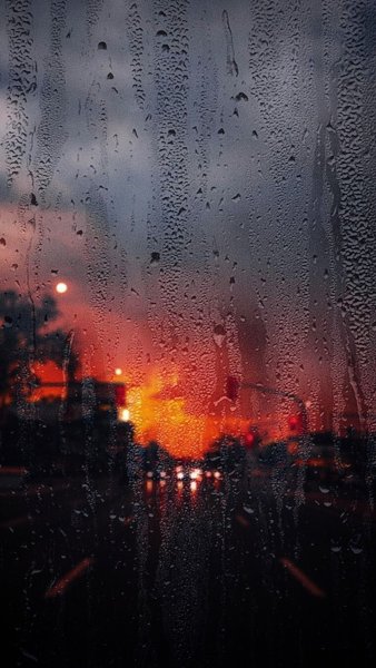 Роса на цветах