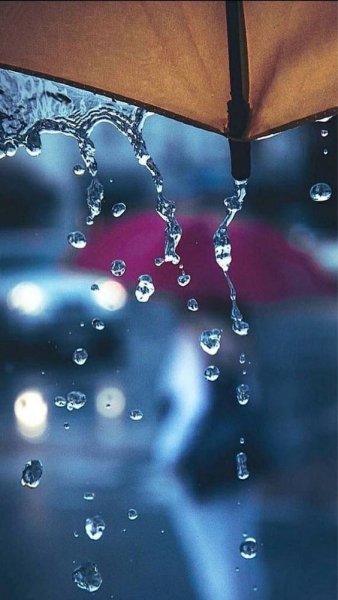 Березы у воды