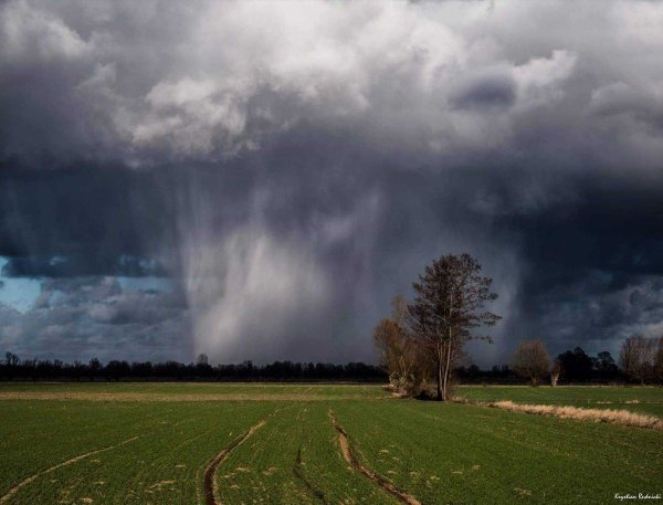 Слоисто дождевые облака