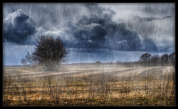 Осеннее ненастье