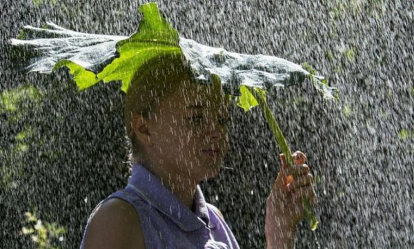 Сильный дождь