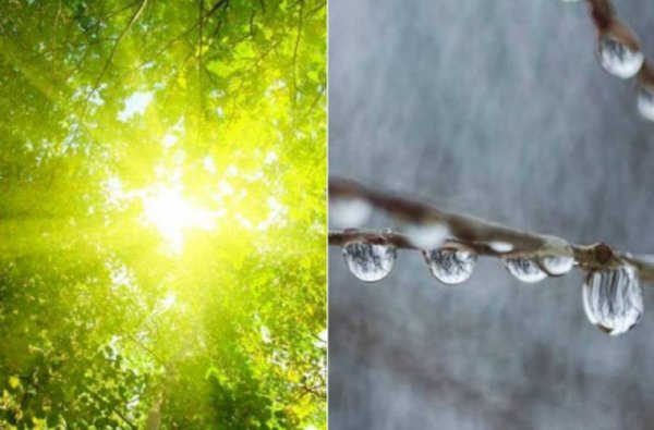 Жара дождь картинка