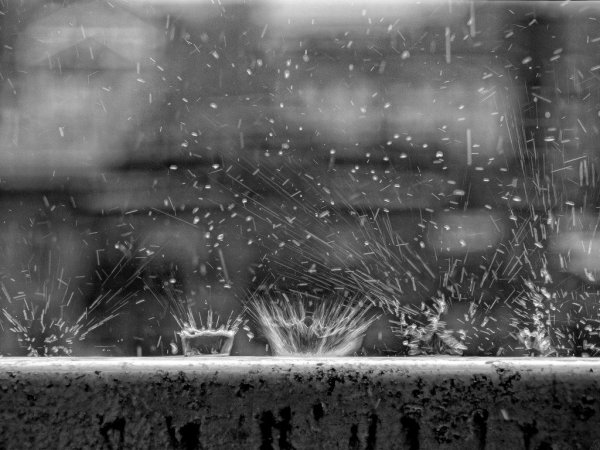 Черно белый дождь