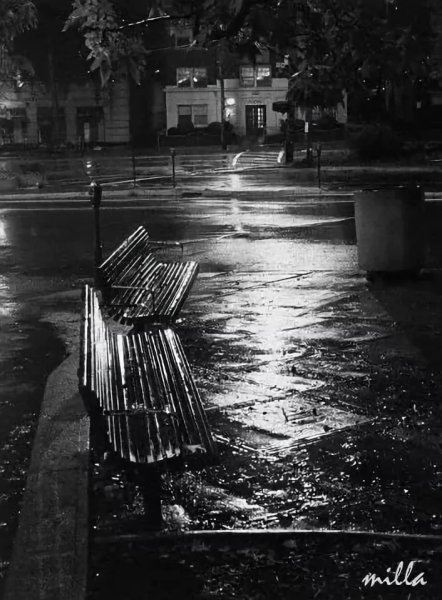 Дождь в городе чб