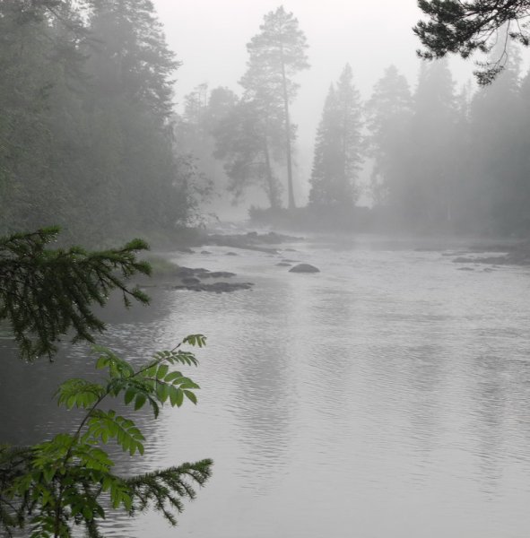 Ливень река