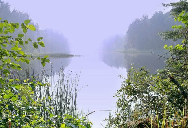 Летний дождь над озером