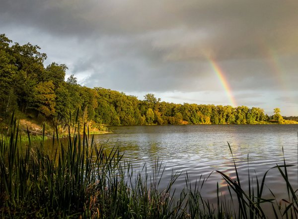 Озеро после дождя
