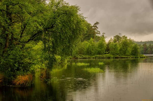 Природа река озеро дождь