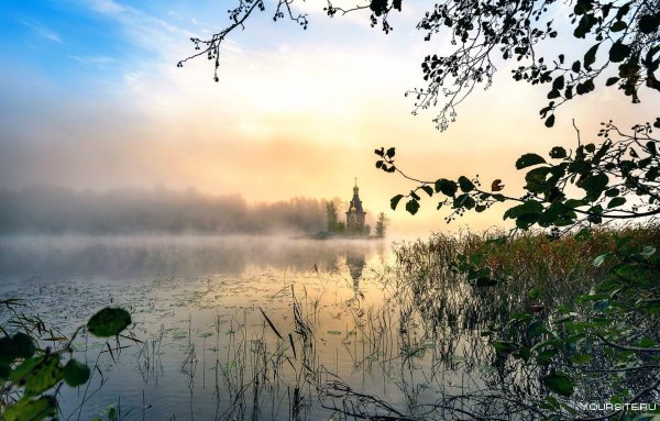 Шерна Ногинск осень