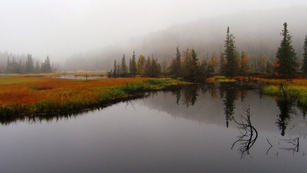 Озеро Леушинский туман