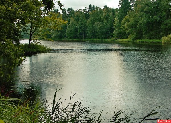 Дождливое озеро