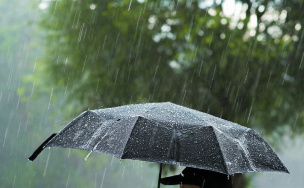 Дождливое лето