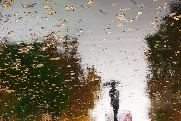 Идут частые дожди