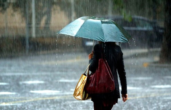 Дождливый день