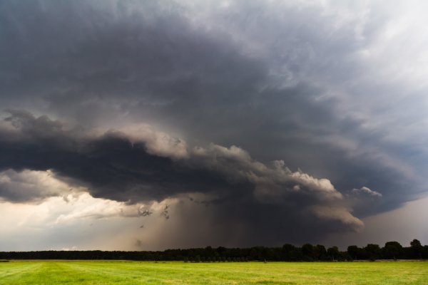 Слоисто-дождевые облака – nimbostratus (NS)