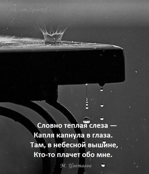 Дождь слезы цитаты