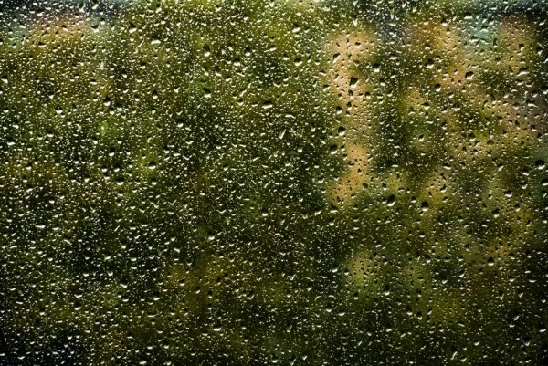 Ситный дождь картинка