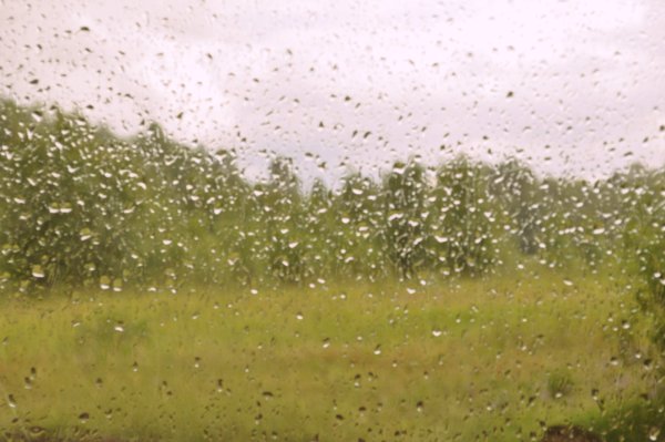 Обложной дождик