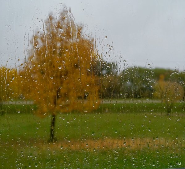 С днем дождя
