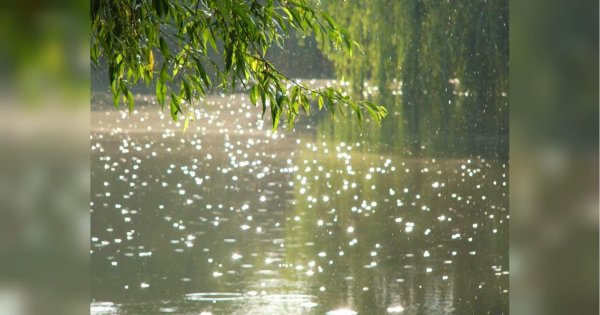 Летний слепой дождик