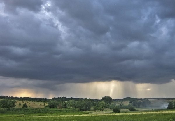 Пасмурное утро