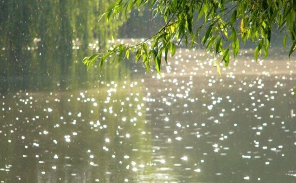 Весенний дождь