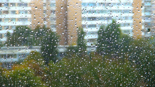 Дождь из окна