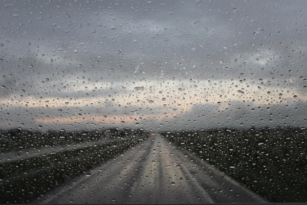 Дождливая дорога из машины