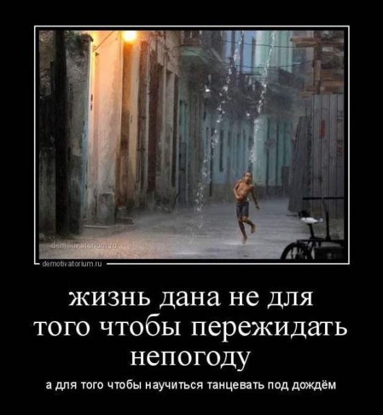 Смешные цитаты про дождь