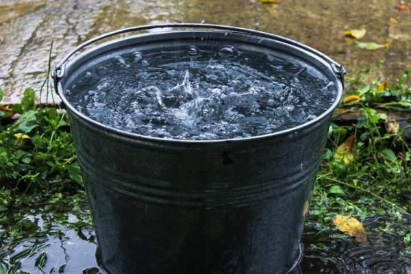 Ведро дождевой воды